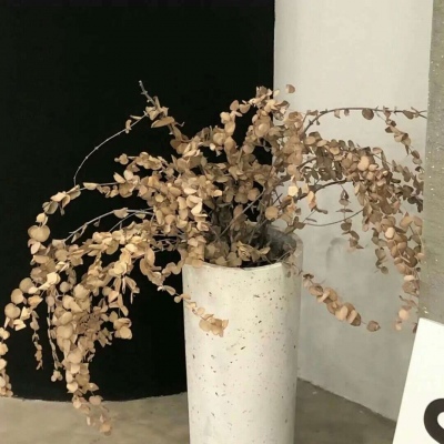 Furry插画氛围营造福瑞交流群